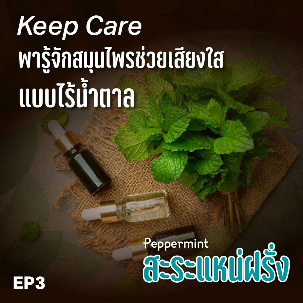 สะระแน่ฝรั่ง