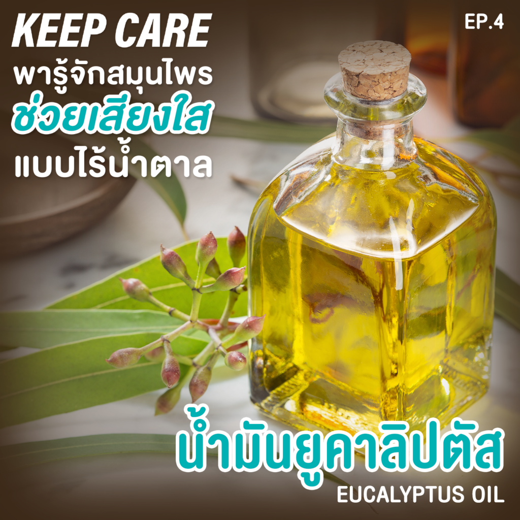 น้ำมันยูคาลิปตัส